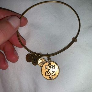 Alex and Ani Autism Speaks puzzle piece bracelet